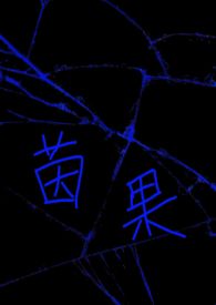 茵果(np)